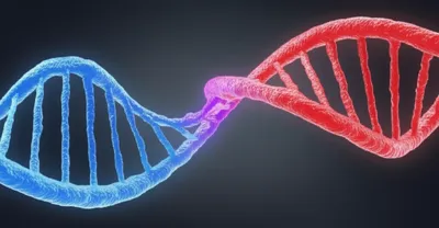 Hình ảnh minh họa recombining - Ảnh 1