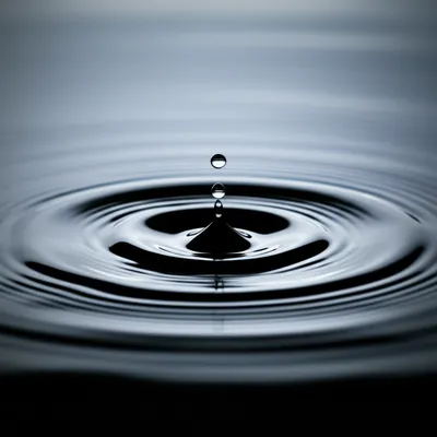 Illustration date - Image 1