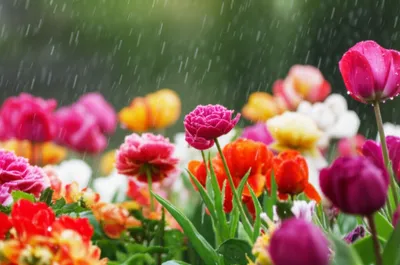 Illustration pattered - Image 1