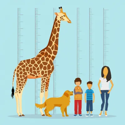 Illustration pitches - Image 1