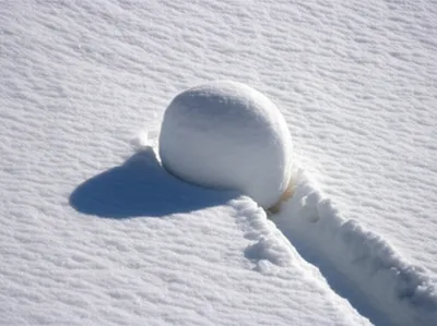 Illustration cum - Image 1