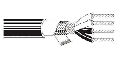 Illustration quad - Image 4