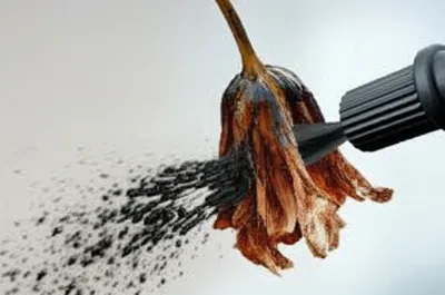 Illustration worst - Image 1