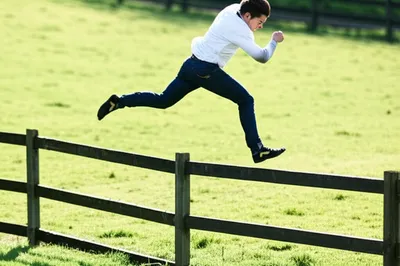 Illustration fences - Image 1