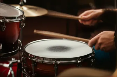 Illustration ruffs - Image 1