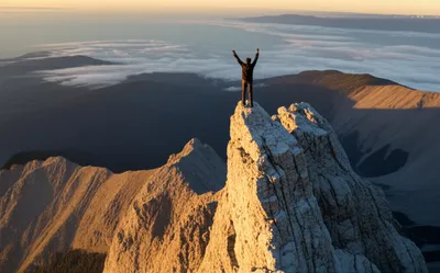 Illustration succeeded - Image 1