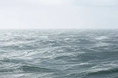 Illustration chops - Image 1