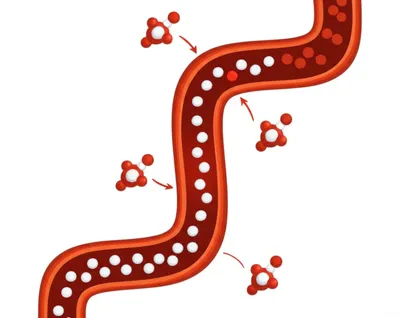 Illustration diabetes - Image 1