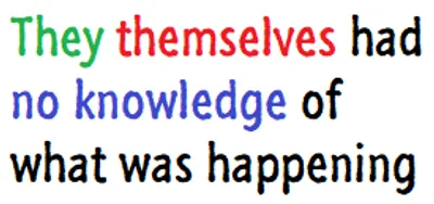 Illustration themselves - Image 4