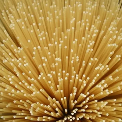 Illustration filiform - Image 1