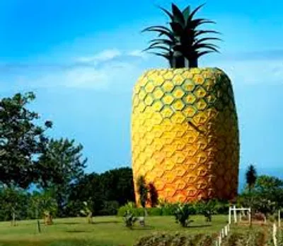 Illustration extraordinarily - Image 2