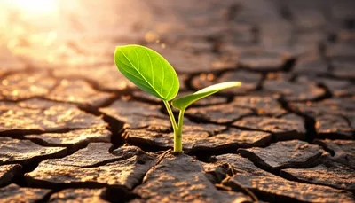 Illustration earlier - Image 1