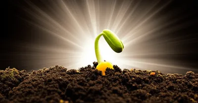 Illustration effects - Image 1