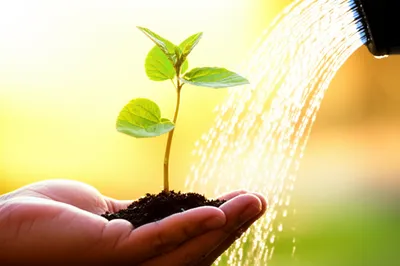 Illustration services - Image 1