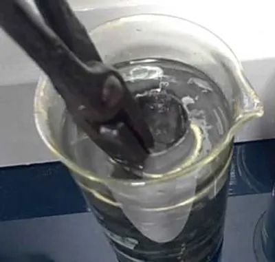 Illustration pickle - Image 2