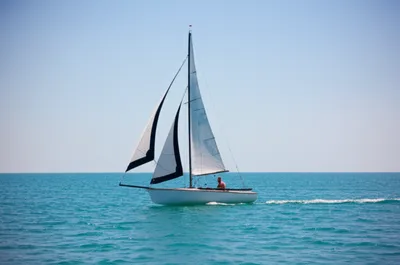 Illustration scouts - Image 1