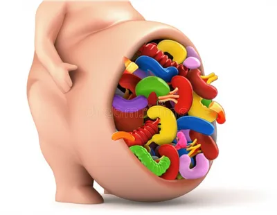 Illustration tripe - Image 1