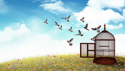 Illustration released - Image 1