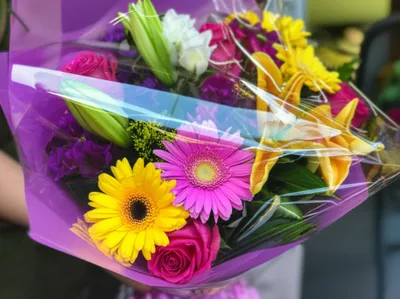 Illustration cellophane - Image 1