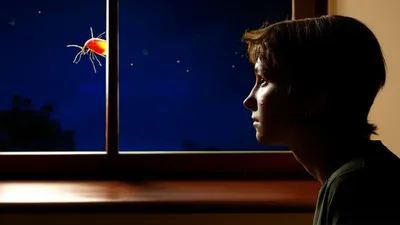 Illustration noticed - Image 1