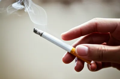 Illustration fags - Image 1