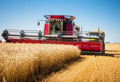 Illustration harvester - Image 1