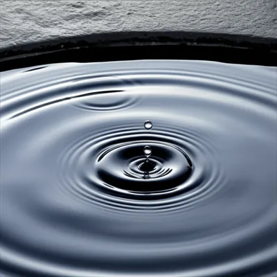 Illustration reverberate - Image 1