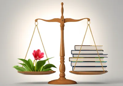 Illustration reasonable - Image 1