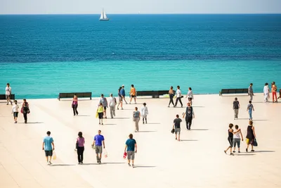 Illustration promenades - Image 1