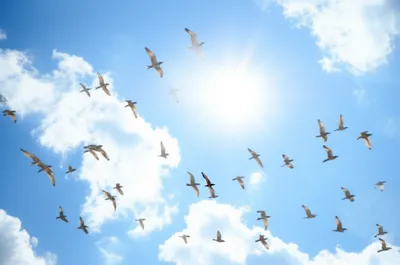 Illustration lift - Image 1