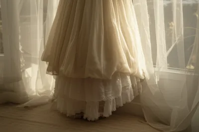 Illustration petticoat - Image 1