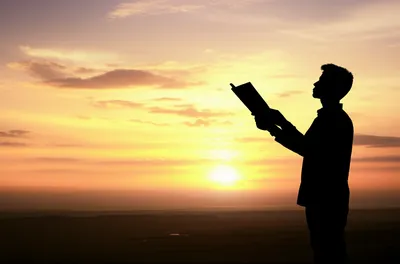 Illustration questing - Image 1