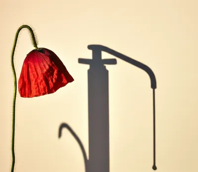 Illustration narcotic - Image 1