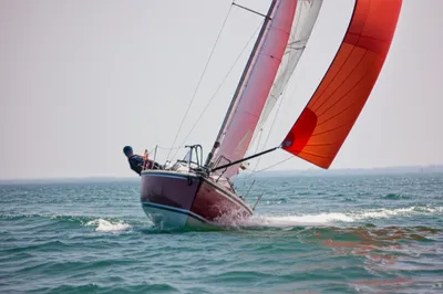 Illustration careened - Image 1