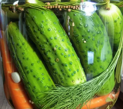 Illustration brine - Image 1