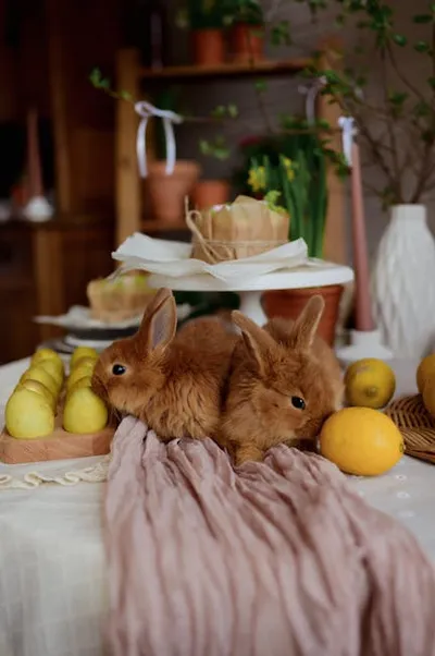 Illustration stills - Image 3