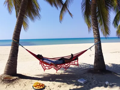 Illustration loafers - Image 1