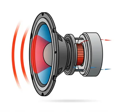 Illustration armature - Image 1