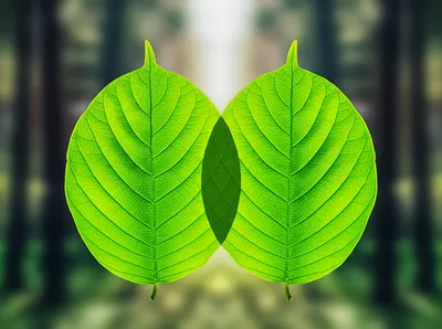 Illustration congruence - Image 1