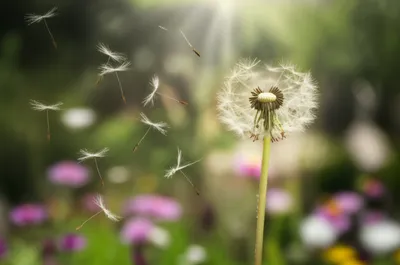 Illustration whiffed - Image 1