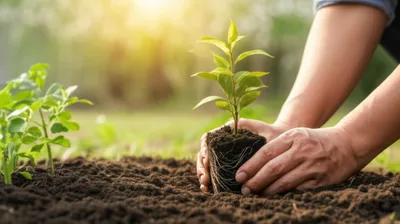 Illustration invested - Image 1