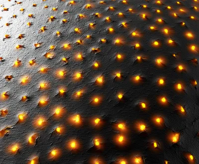 Illustration promoted - Image 1