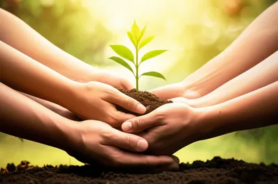 Illustration benefit - Image 1