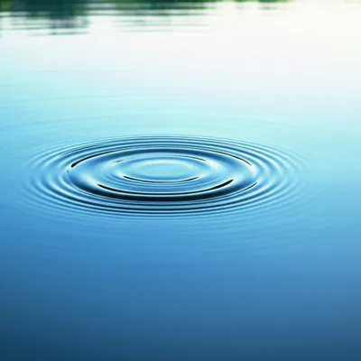 Illustration soft - Image 1