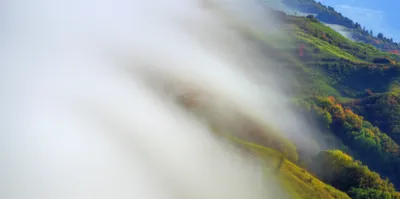 Illustration clearer - Image 1