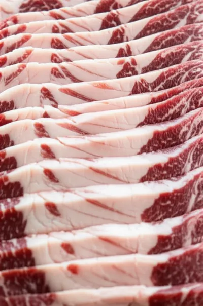 Illustration plates - Image 1