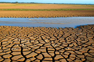 Illustration abated - Image 1