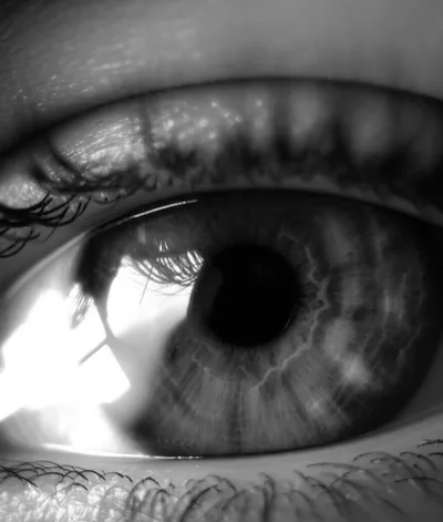 Illustration seen - Image 1