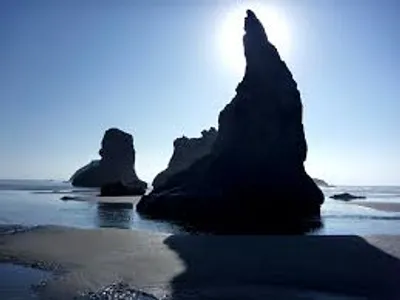 Illustration needle - Image 3