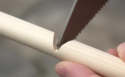 Illustration notch - Image 1